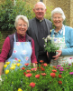 St Thomas' Plant Sale